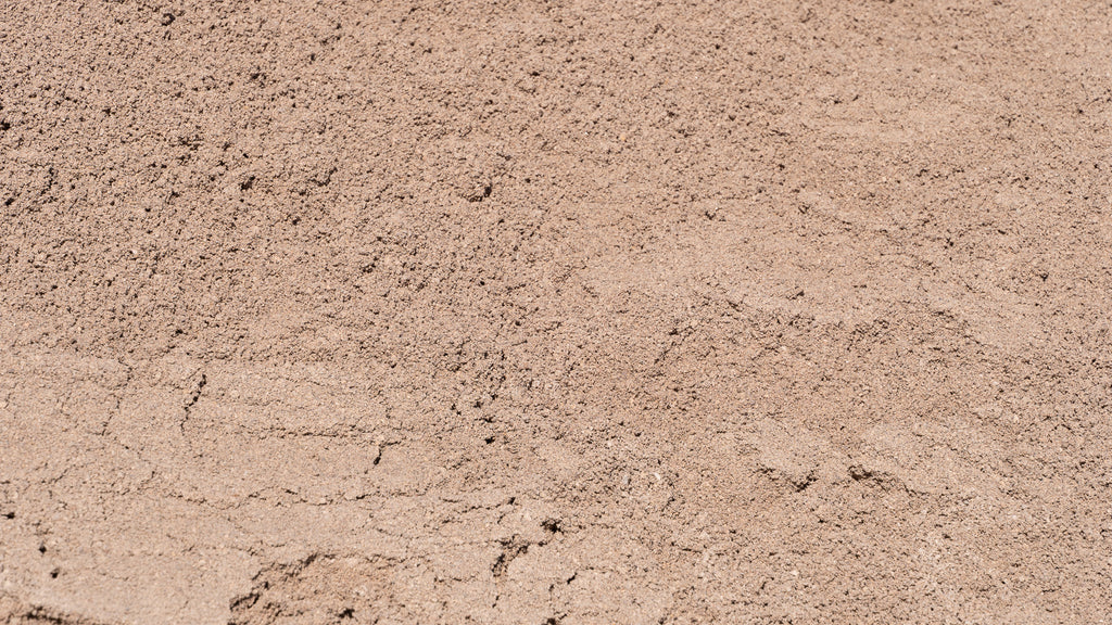 Concrete Washed Sand, close-up