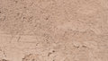 Concrete Washed Sand, close-up
