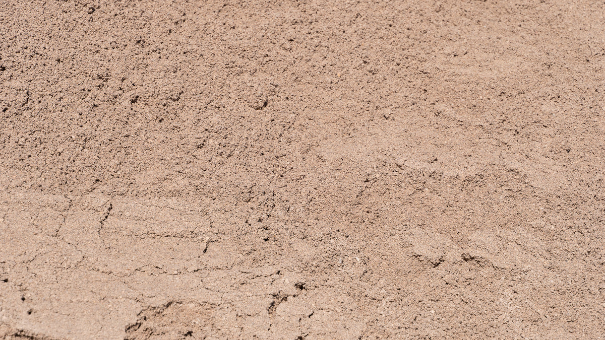 Concrete Washed Sand, close-up