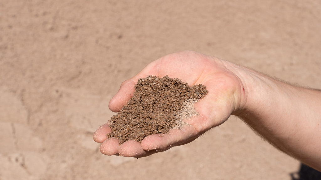 Concrete Washed Sand, handful showing size