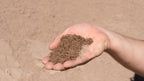 Concrete Washed Sand, handful showing size
