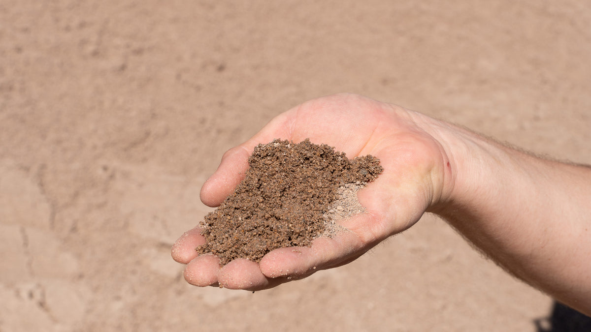 Concrete Washed Sand, handful showing size