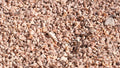 Mountain Rose 3/4 inch decorative rock, close-up