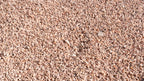 Mountain Rose 3/4 inch decorative rock, pile at the Rock-It yard