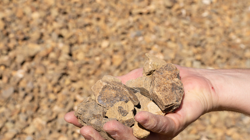 Oak 3/4 inch decorative rock, handful showing size