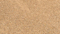 Oak Chat decorative rock, close-up