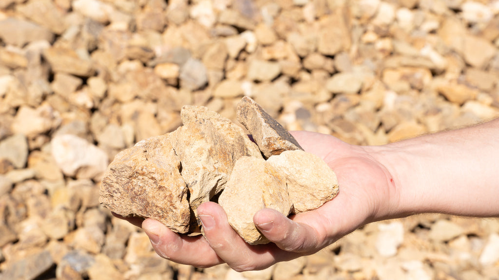 Oak Chunky decorative rock, handful showing size