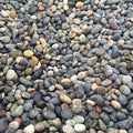 Mexican Beach Pebble 3/4 Inch